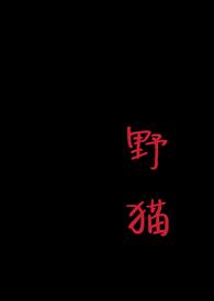 野猫之恋 张学友