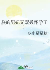朕的男宠情侣名是什么